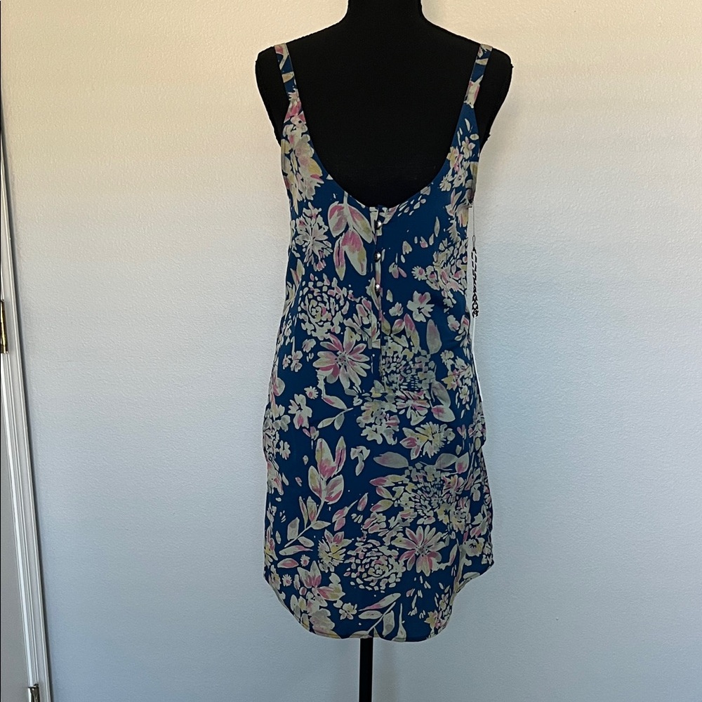 Stillwater Floral Sleeveless Dress